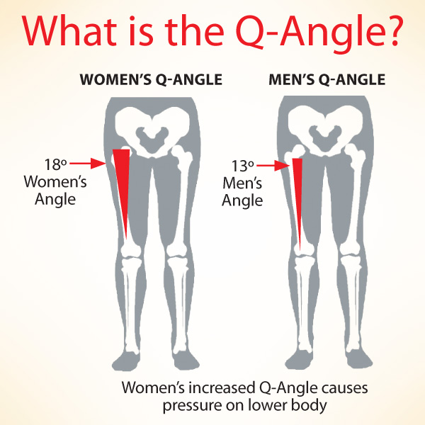 Differences between male and female skeletons, heads and muscles